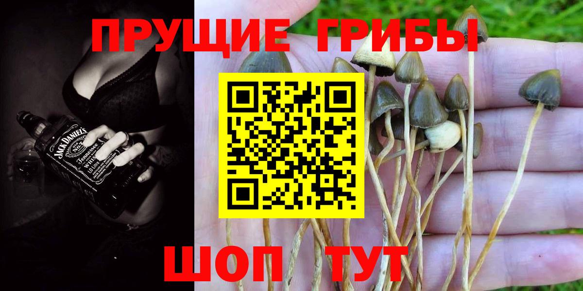 Псилоцибиновые грибы GOLDEN TEACHER Изобильный