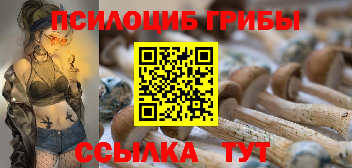 Псилоцибиновые грибы прущие грибы  Вход с VPN  Изобильный 